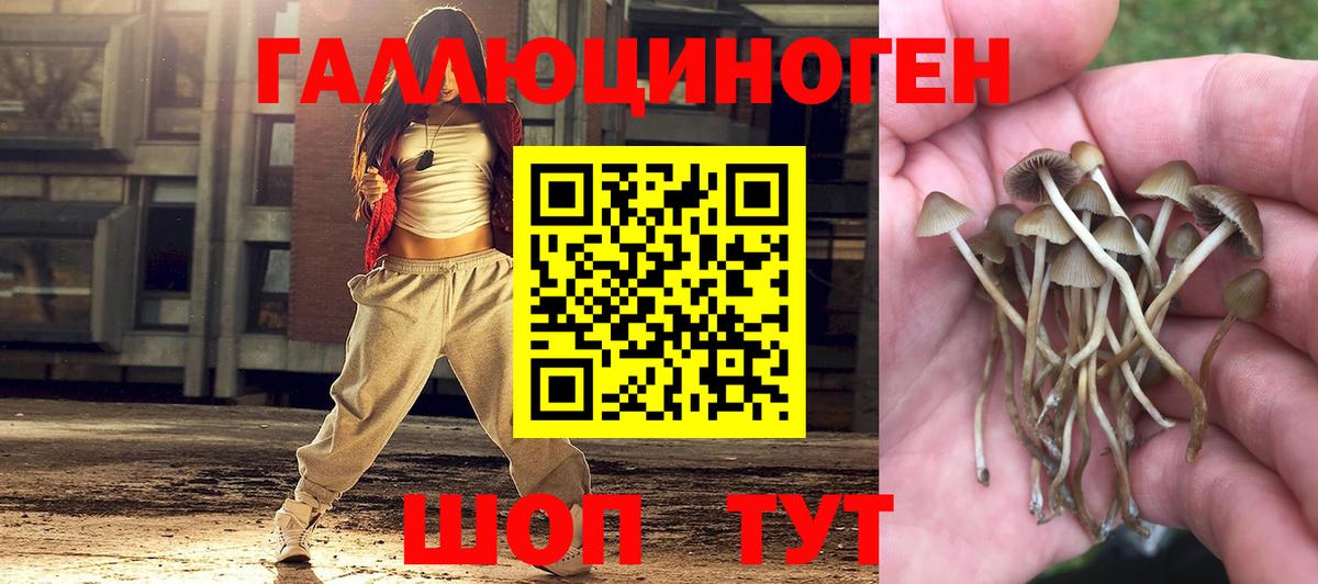 Псилоцибиновые грибы GOLDEN TEACHER  Галлюциногенные грибы GOLDEN TEACHER  Вход с VPN  Нурлат 
